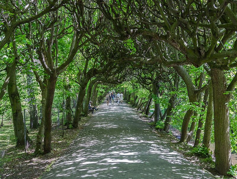 Park Oliwski, Gdańsk