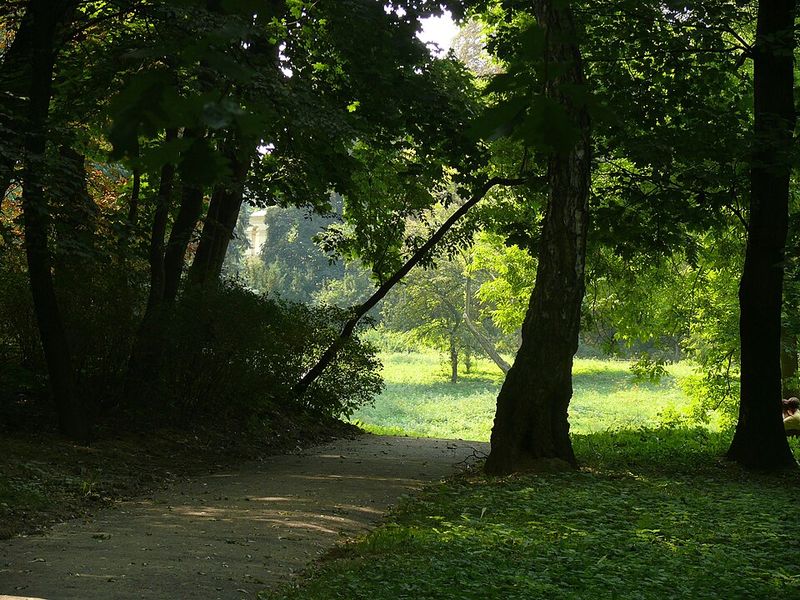 Ogród Saski, Lublin