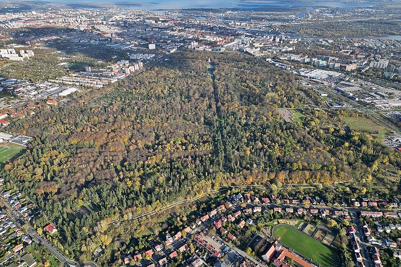 Cmentarz Centralny, Szczecin