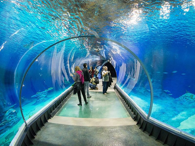 Afrykarium, Wrocław